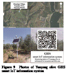 ??????:  

Figure 9  Photos of Yunyang olive GIES smart IoT information system
